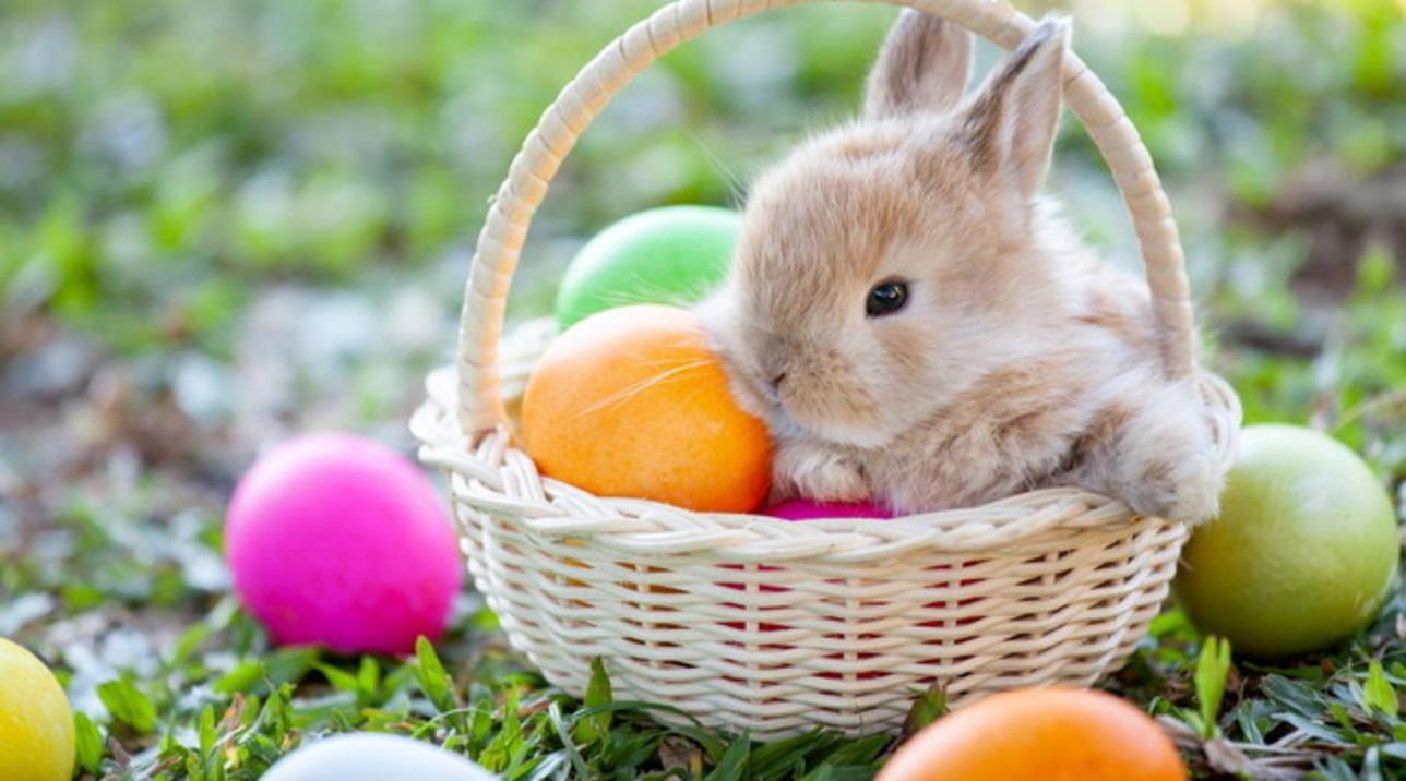 Pasqua a Sorrento 2026